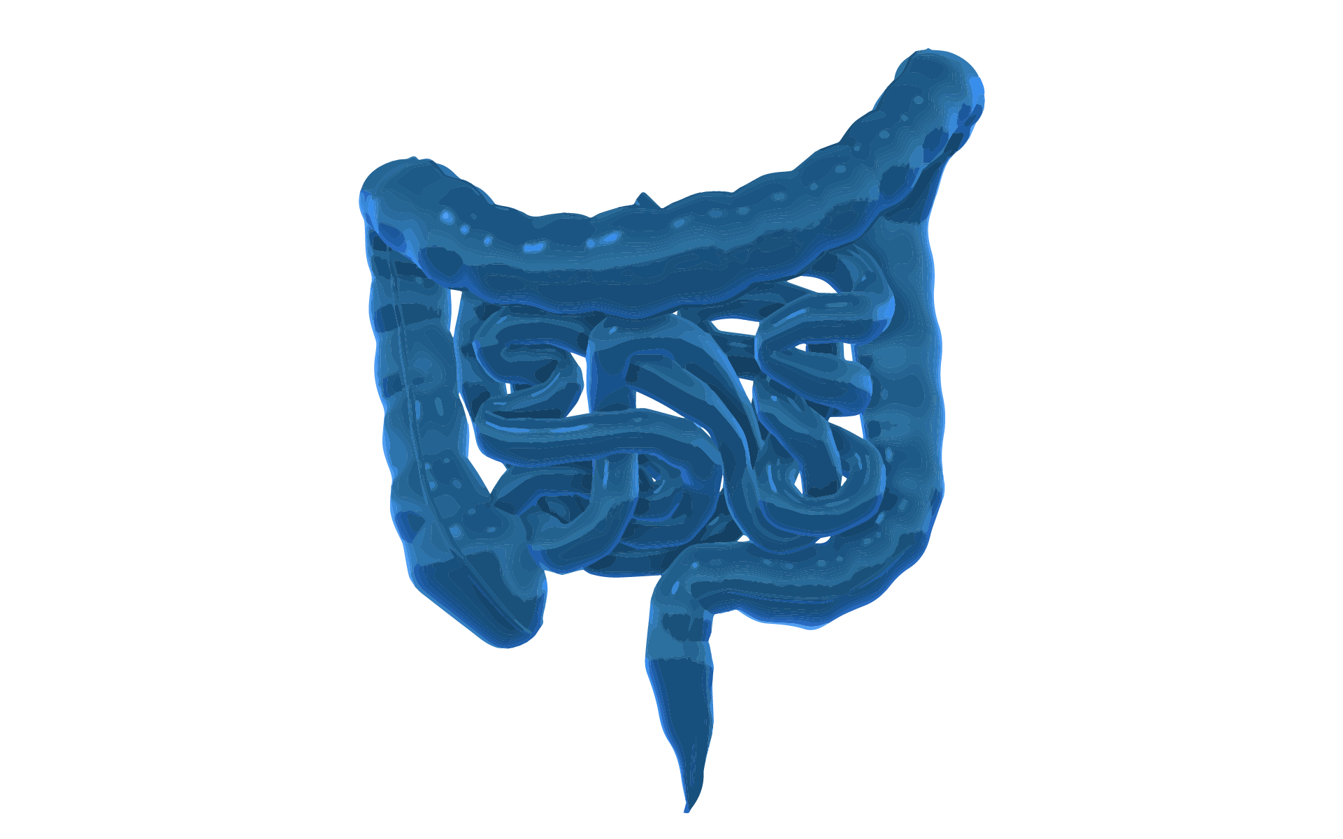 GI Tract
